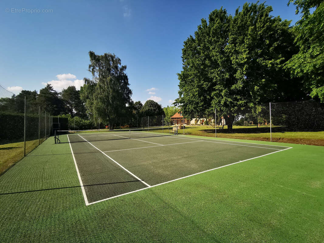 Terrain tennis