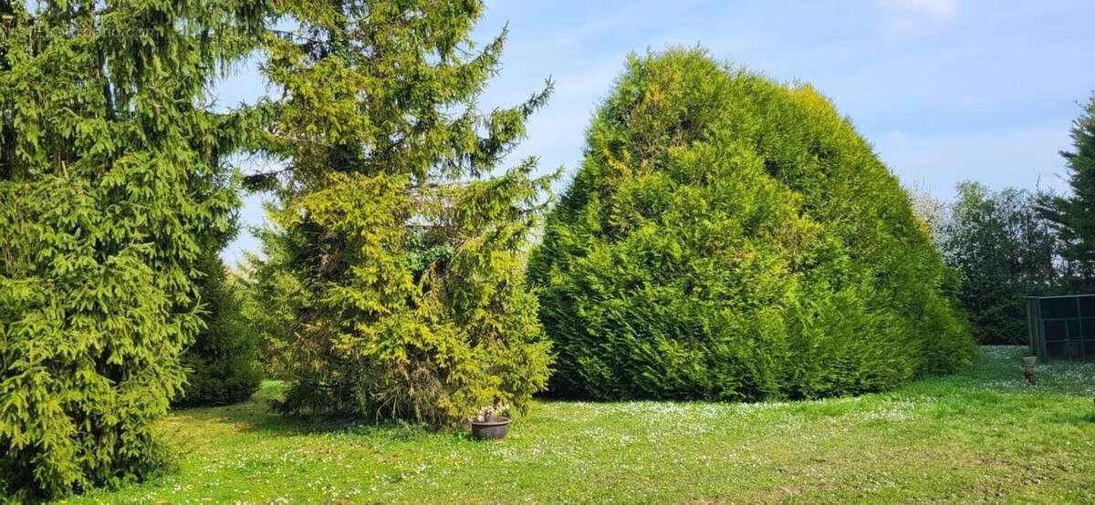 Terrain à OUZOUER-LE-MARCHE