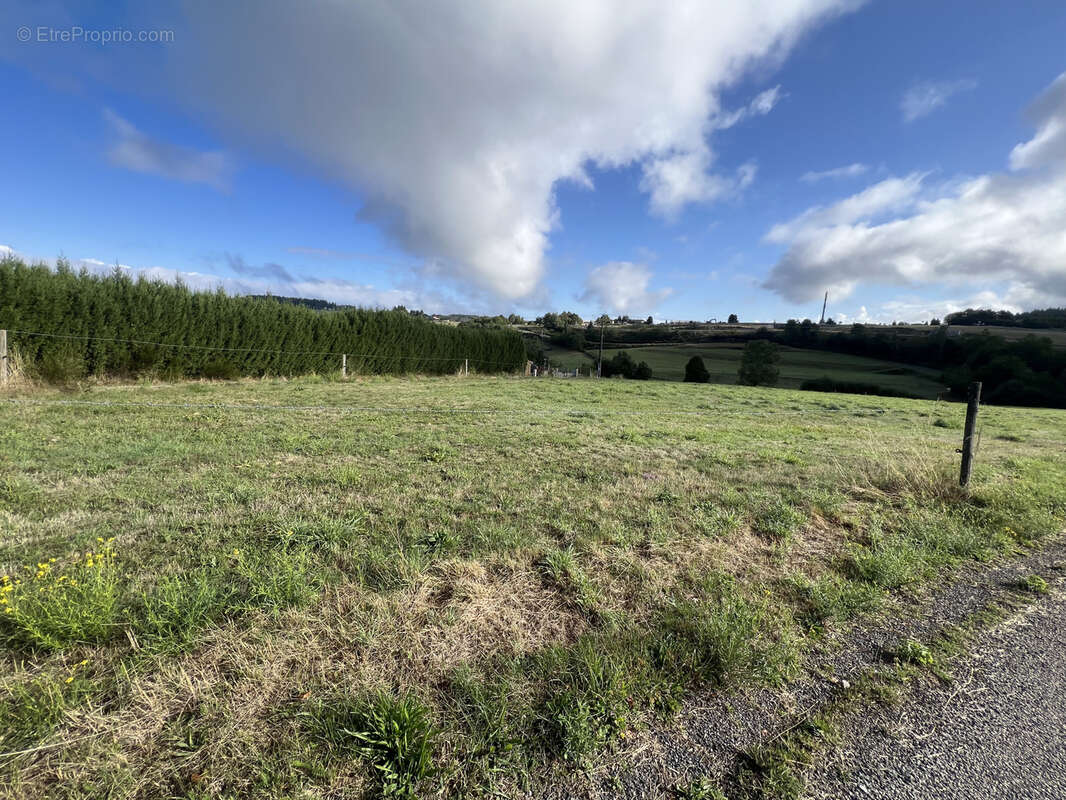 Terrain à MONISTROL-SUR-LOIRE