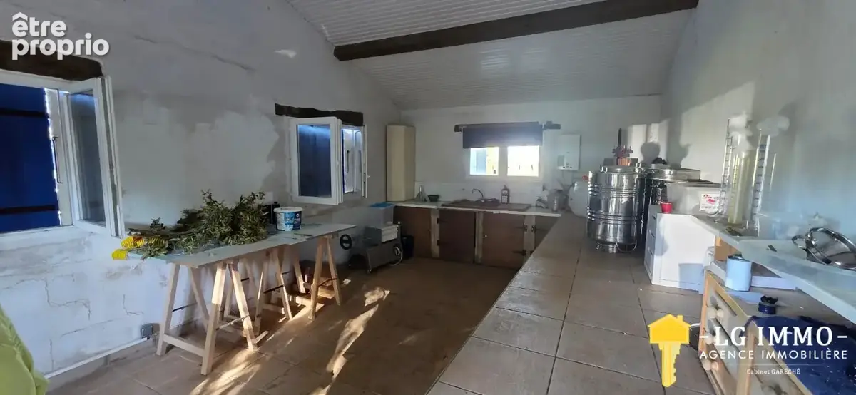 Propriété charentaise avec oliveraie, 4ha de terrain, vue estuaire - photo 21