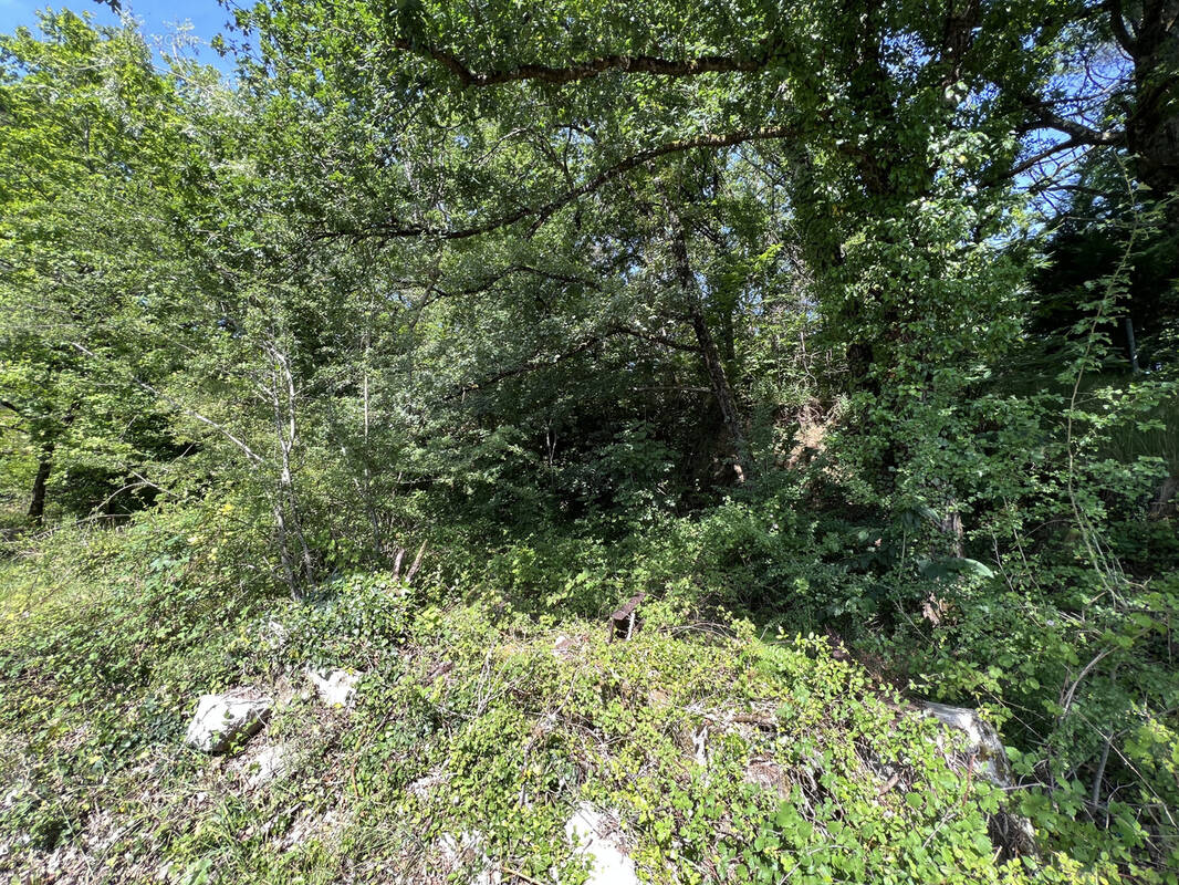 Terrain à BRIVE-LA-GAILLARDE