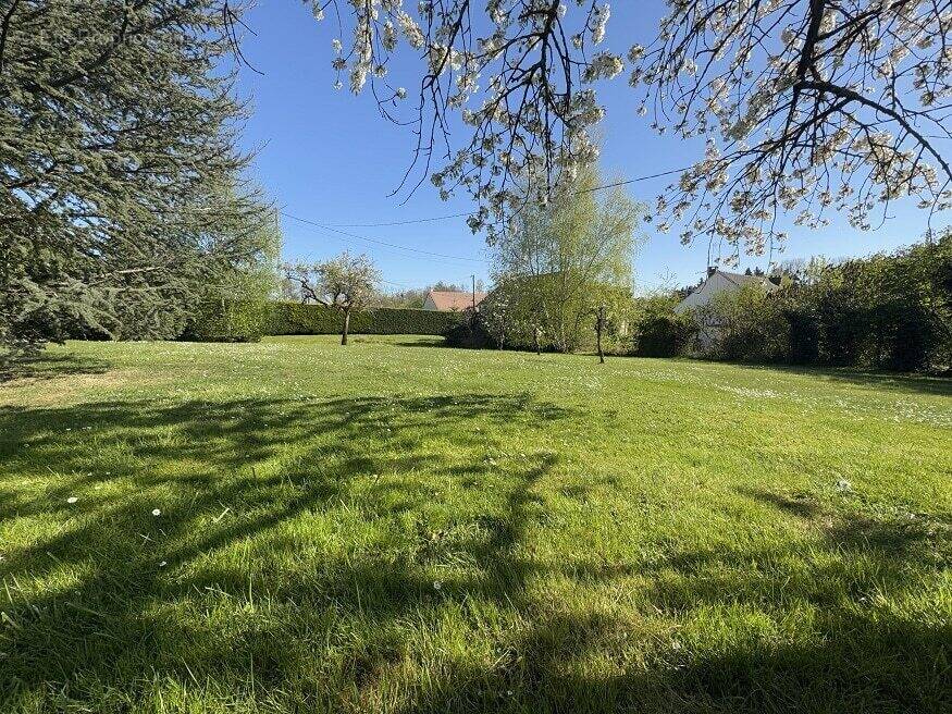 Terrain à ERNEMONT-BOUTAVENT