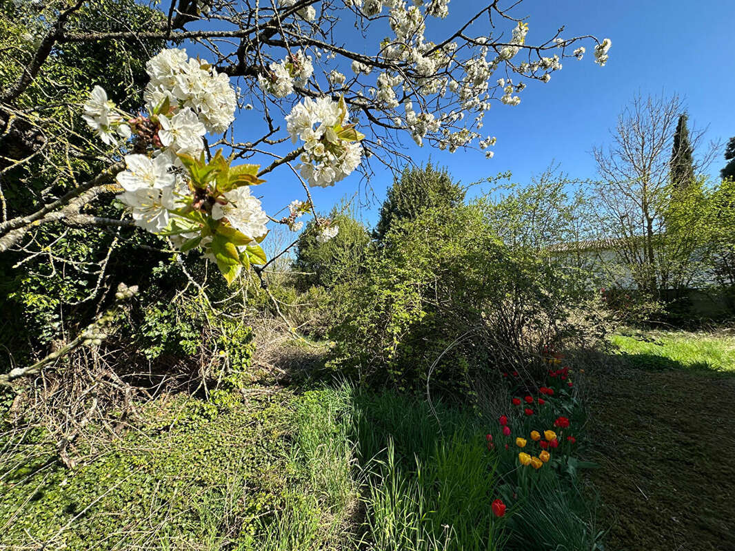 Maison à VILLEVENARD