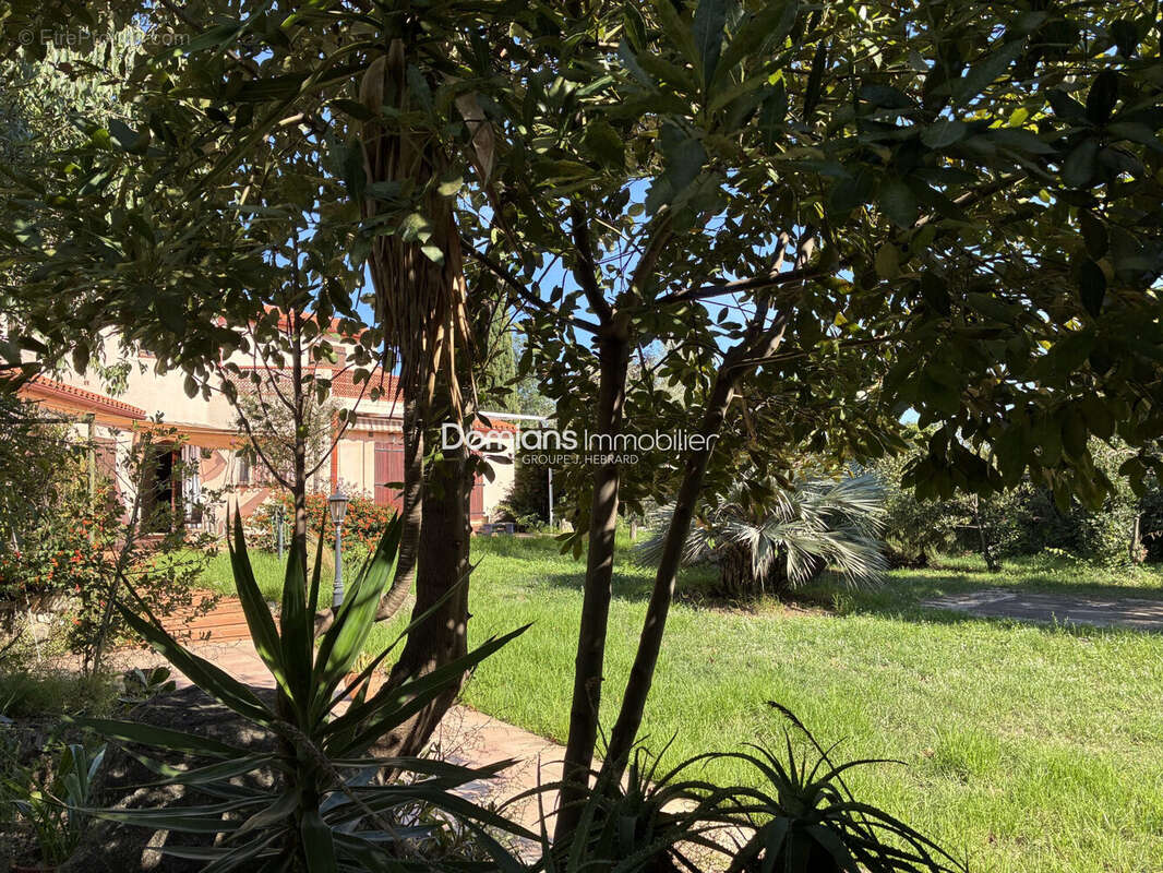 Maison 172 m² à Argeles-Sur-Mer  - photo 3