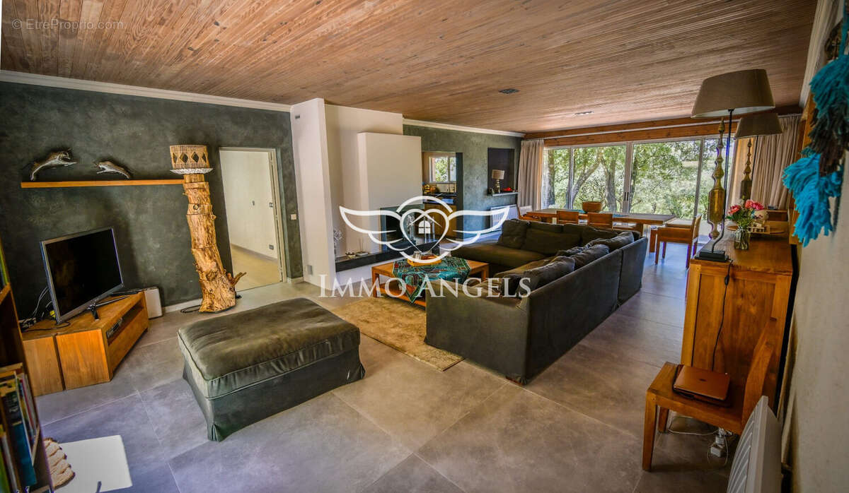 salon - Maison à SAINT-PONS-DE-THOMIERES