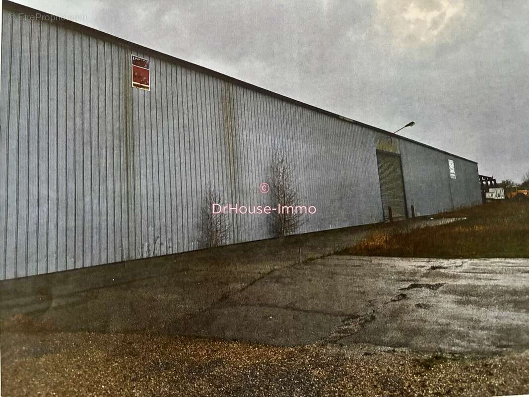 Commerce à TANCARVILLE