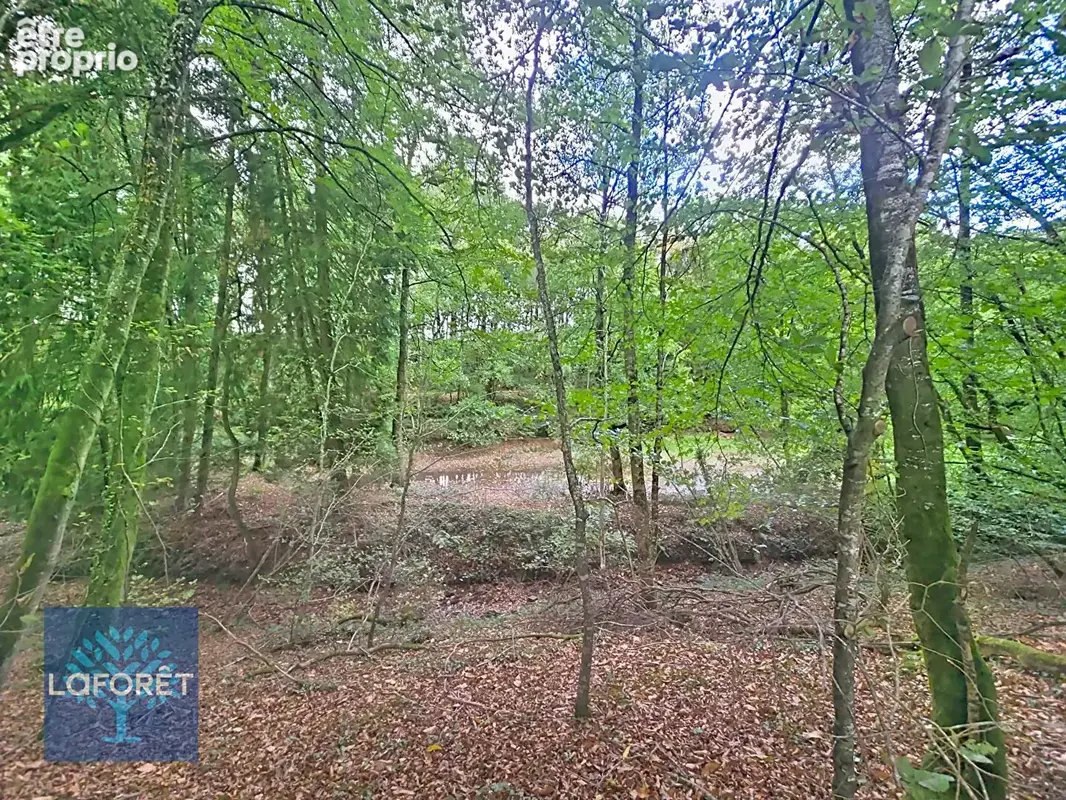 Batîsses à rénover, à 5 min de Saint Brice en Coglès, plus de 4 hectares - photo 11