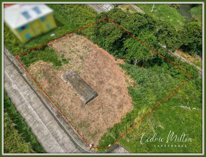 Terrain de 1232 m² vue mer au Lorrain – Lotissement La Crabière - photo 6