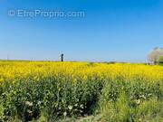 Terrain à EPERNON