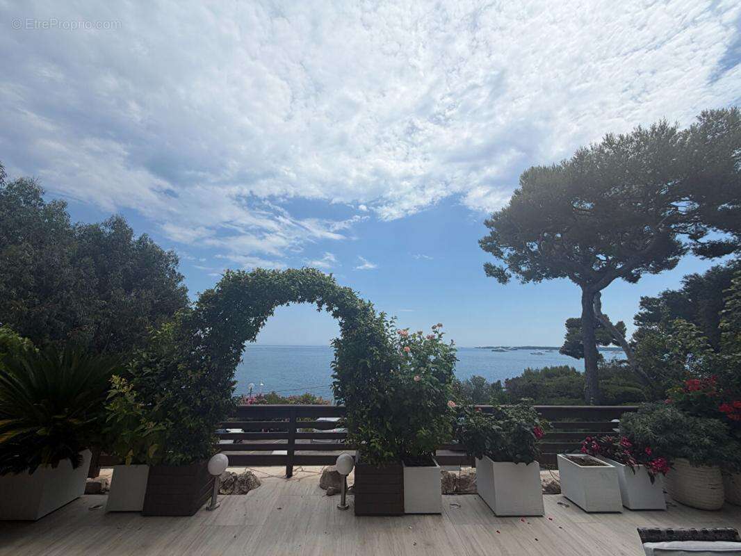 Maison Jumelée Cannes Californie vue mer - photo 15