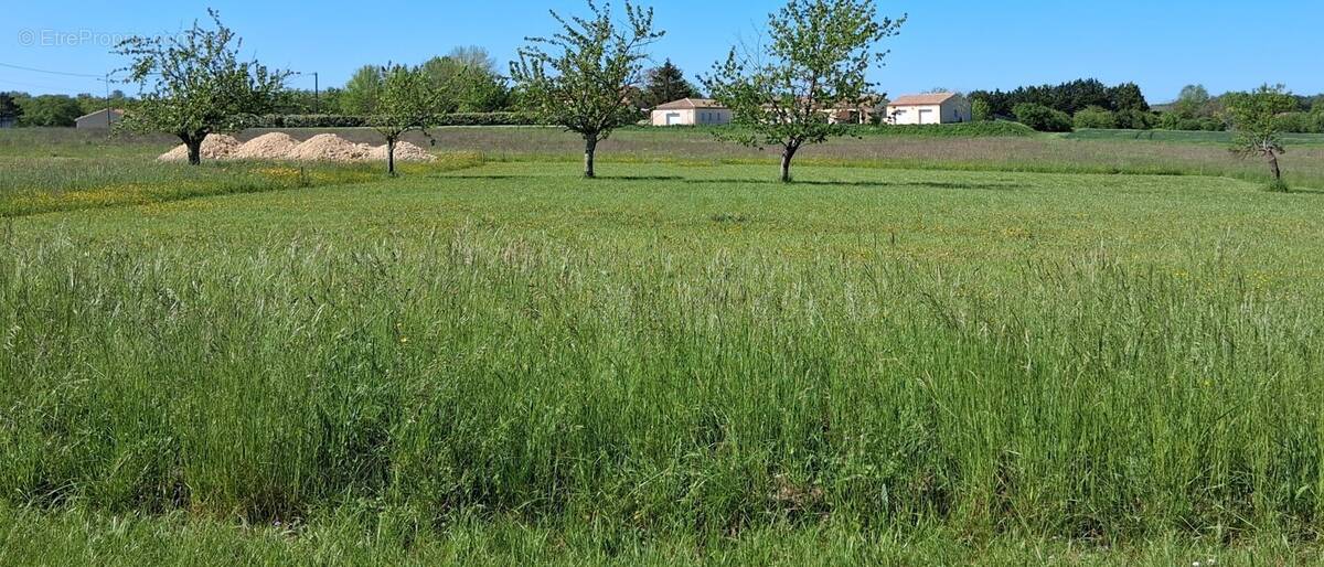 Terrain à RIBAGNAC