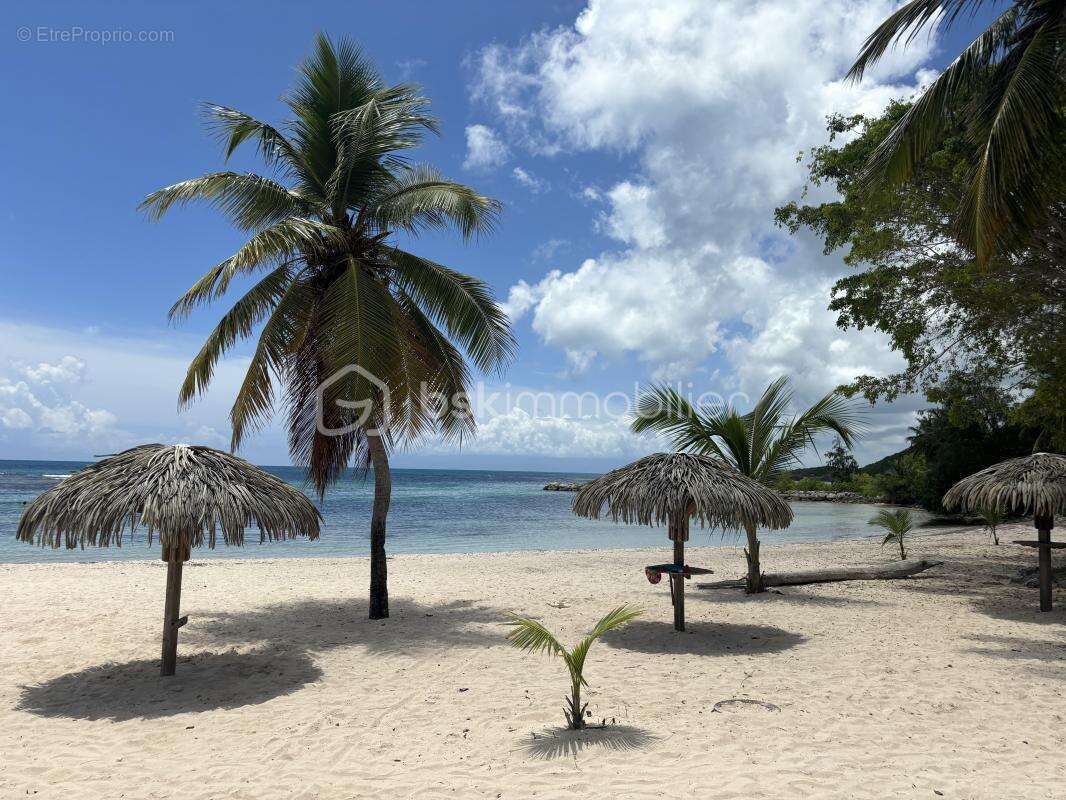 Appartement à SAINT-FRANCOIS