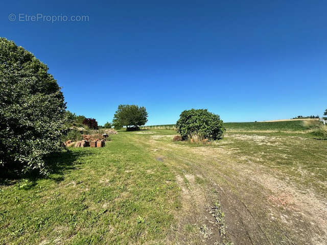Terrain à YVIERS
