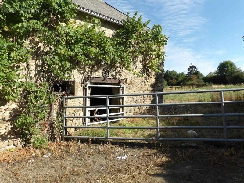 Maison à SAINTE-THERENCE