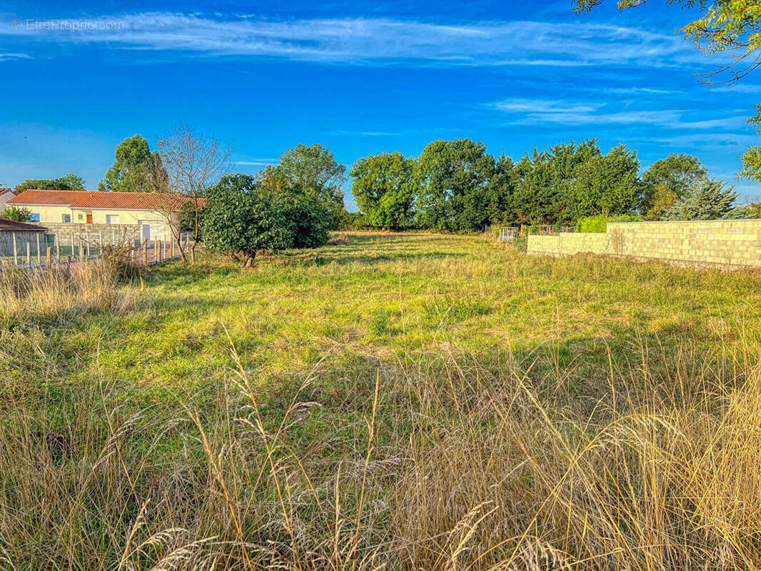 Terrain à SAINT-SULPICE-DE-ROYAN