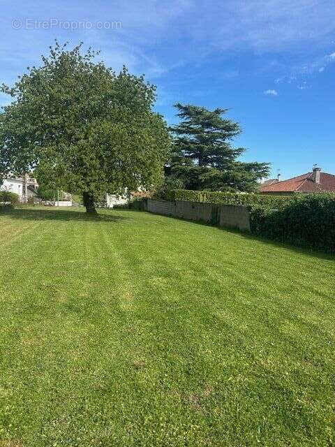 IMG4023 - Terrain à NIORT