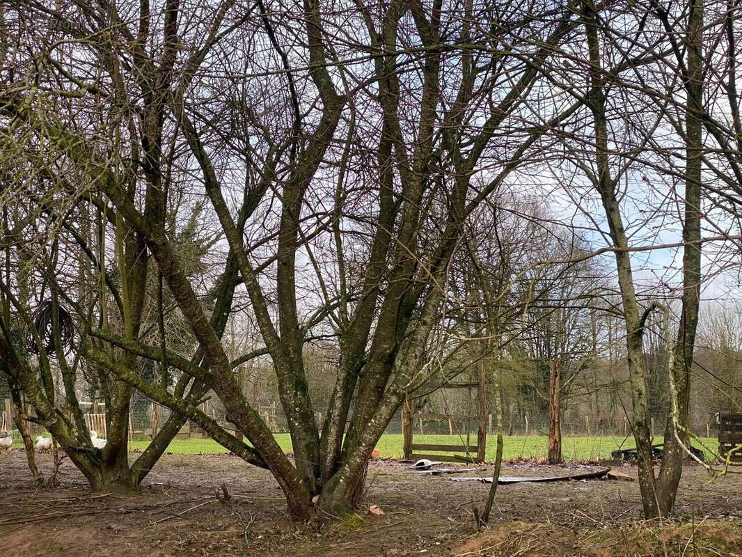 Photo 6 - Maison à DOMFRONT