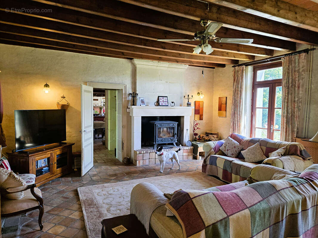 VIENNE : Ferme Rénovée de 5 Chambres avec Piscine, Installations Équestres & 4,32 ha près de Chauvigny - photo 6