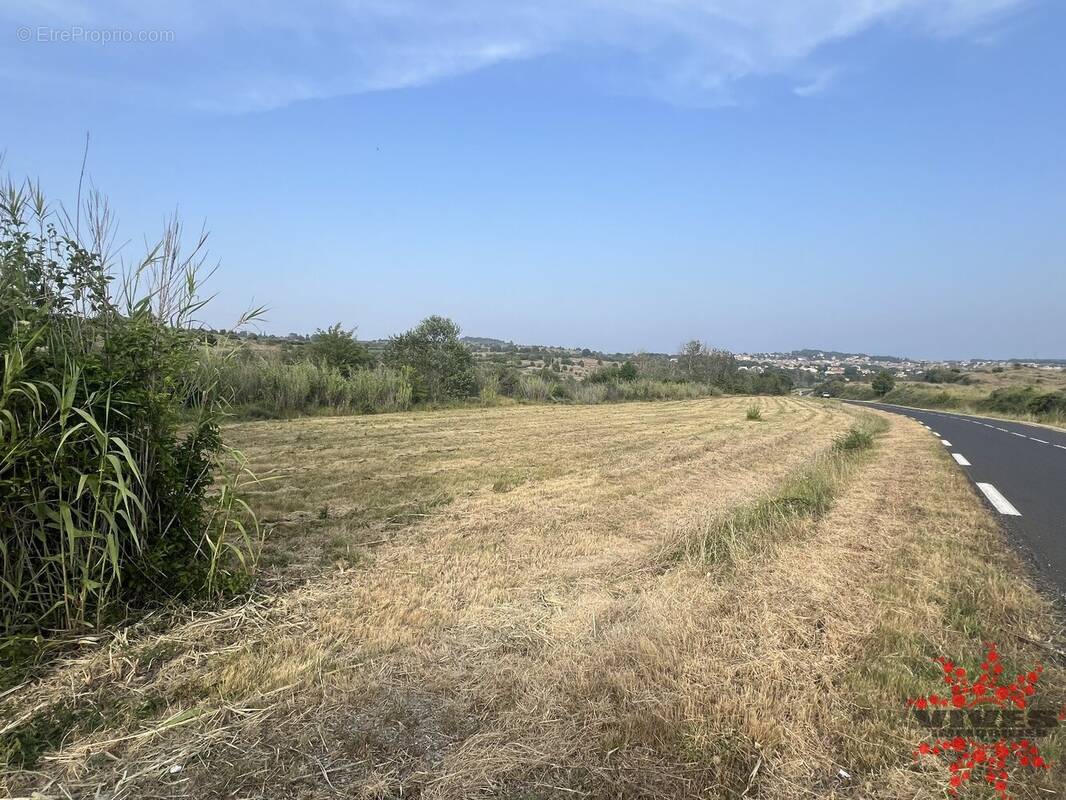 Terrain à LESPIGNAN