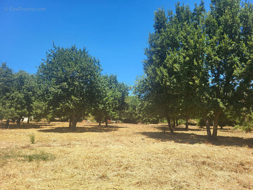 Terrain à MONTIGNARGUES