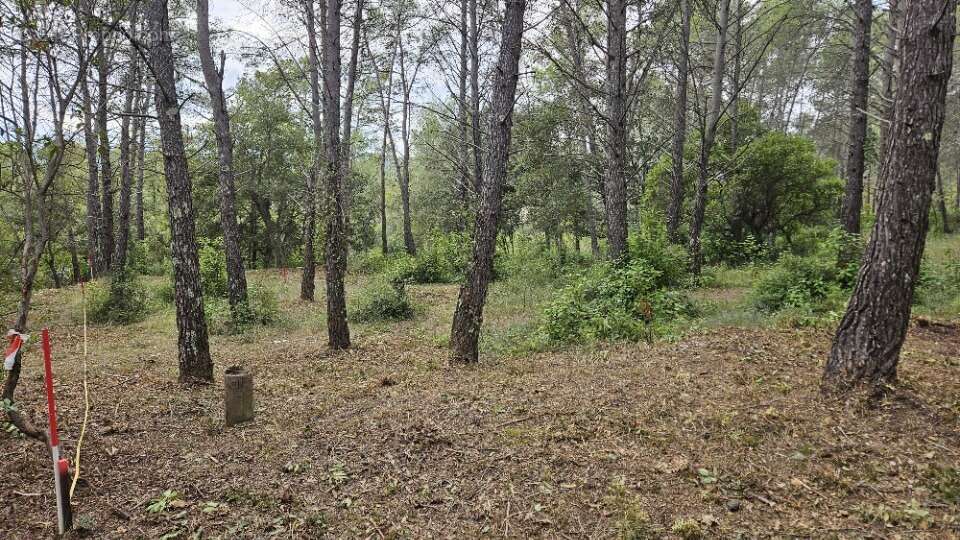 Terrain 1200 m² à Bagnols-En-Foret  - photo 2