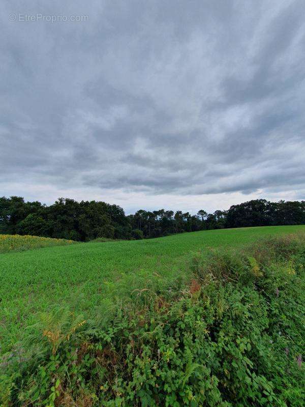 Terrain à SAULT-DE-NAVAILLES