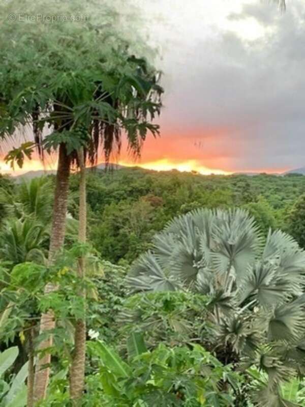 Maison à PETIT-BOURG