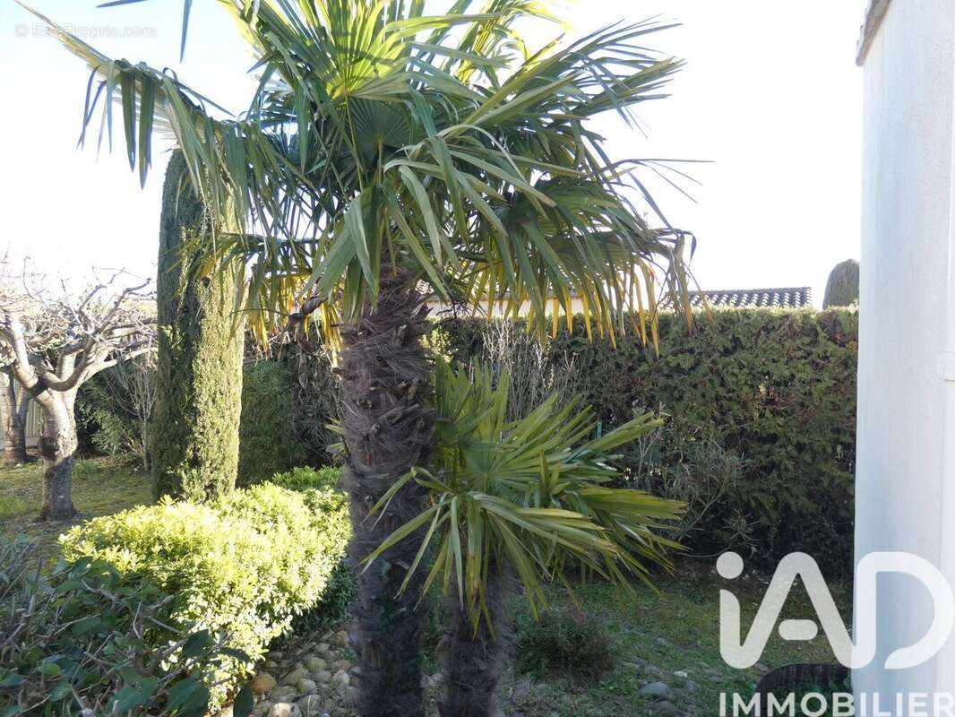 Photo 6 - Maison à BOLLENE