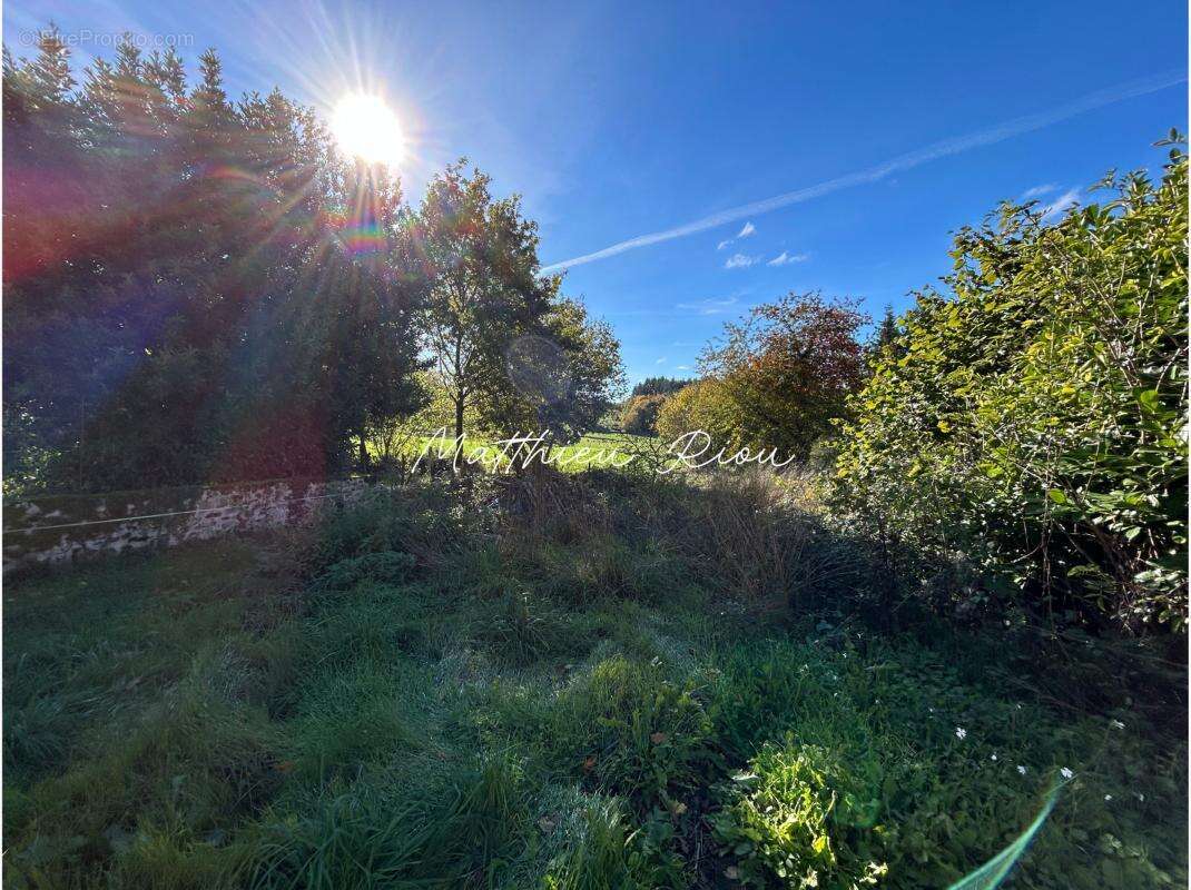 Maison à SAINT-ETIENNE-DE-FURSAC