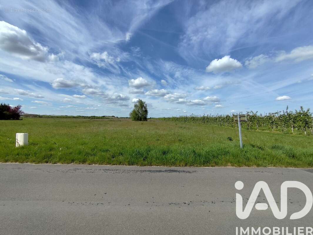 Terrain 2156 m² à Mezieres-Lez-Clery  - photo 3