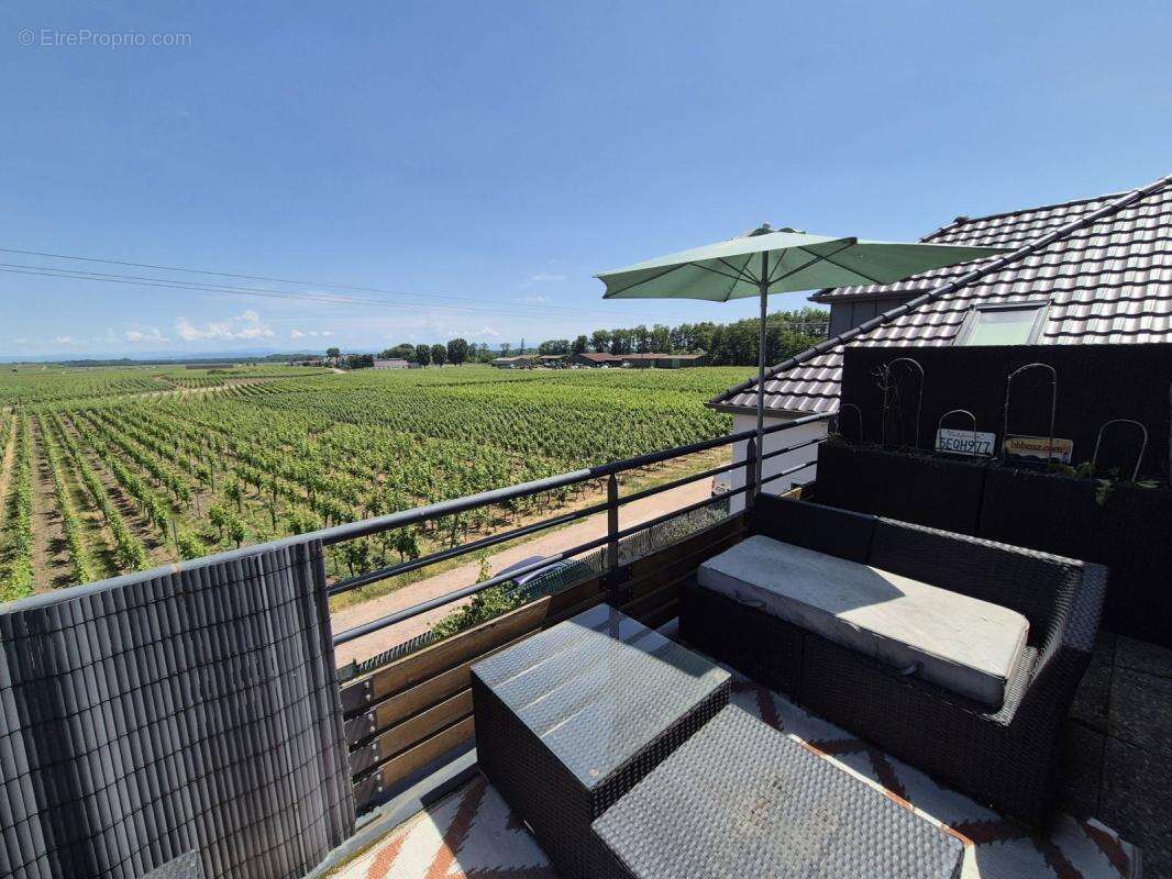 Appartement à SIGOLSHEIM