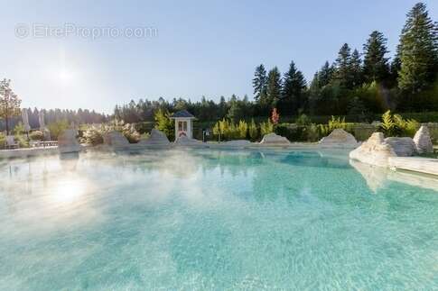 Hattigny-Center Parcs : Idéal investissement locatif - photo 13