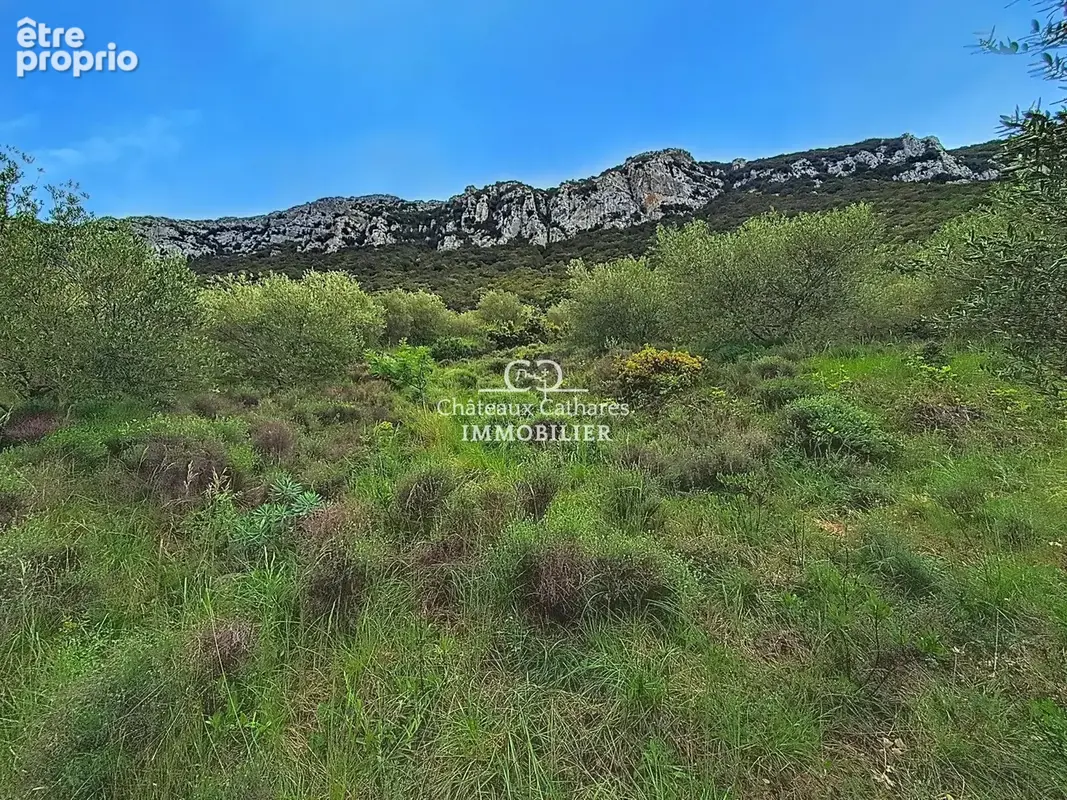 Terrain 51314 m² à Saint-Paul-De-Fenouillet  - photo 5