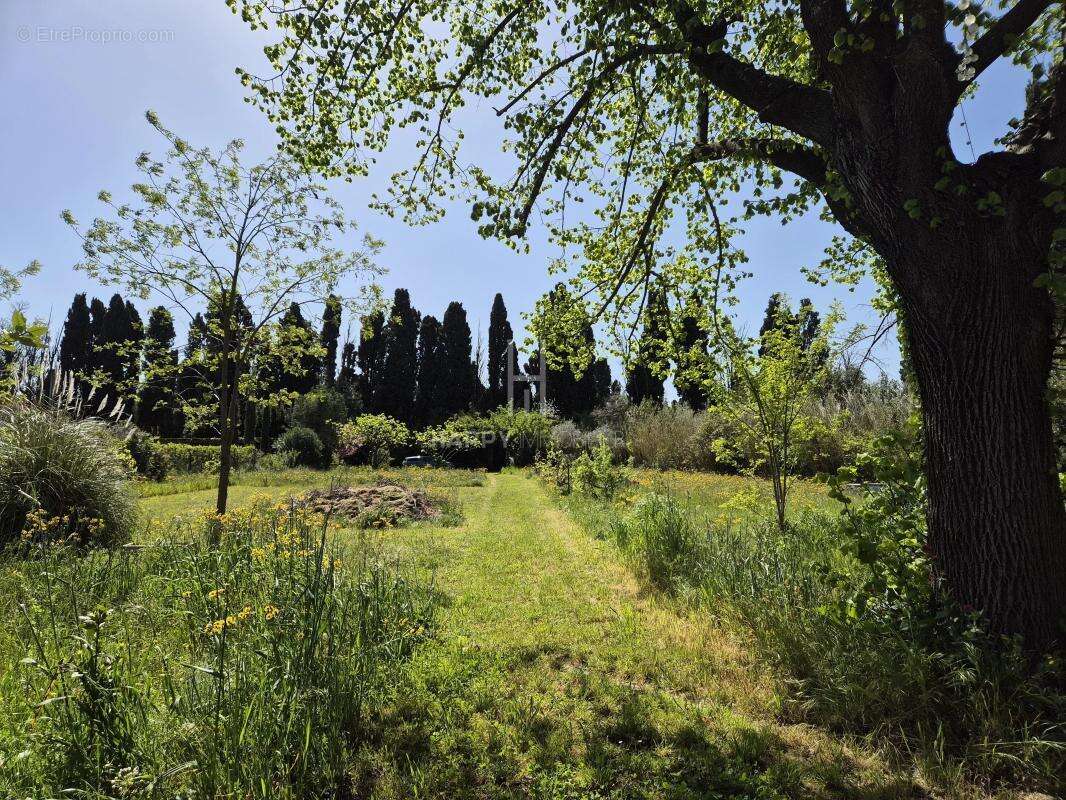 Terrain à SAINT-REMY-DE-PROVENCE