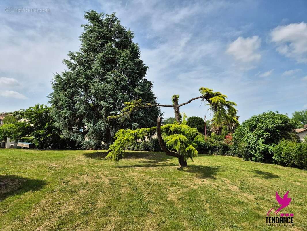 Maison à AUCAMVILLE