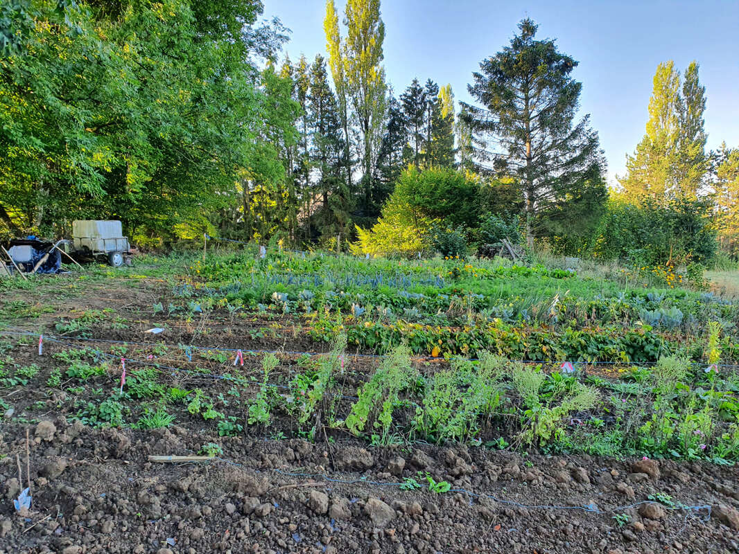 Terrain à SIGNY-LE-PETIT
