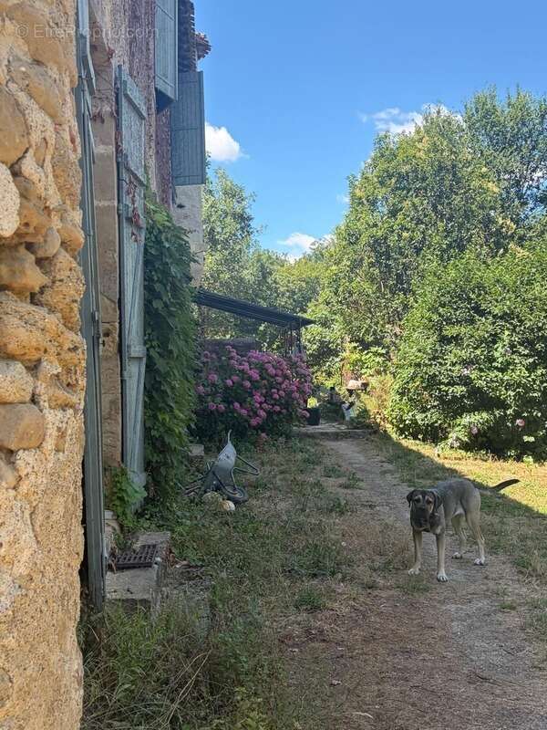 MARCIAC(32): ancienne SEIGNEURIE avec BEAU CHATEAU XIV sur 3,5ha, cachée, au bout du chemin, sans voisin, en campagne, 500m2 hab - photo 57