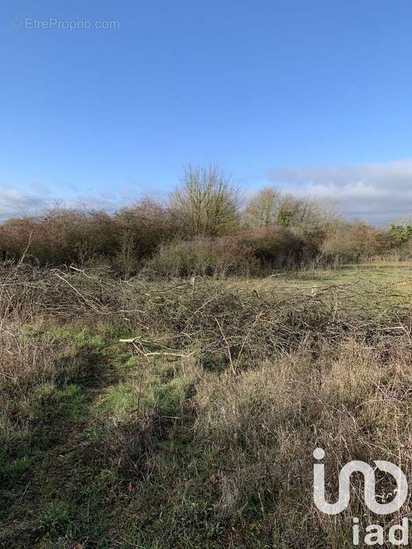 Photo 2 - Terrain à MISY-SUR-YONNE