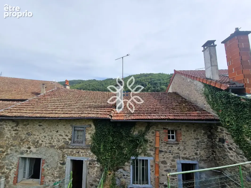 Ferrières-Saint-Mary   Maison de bourg à réhabiliter avec terrain - photo 12