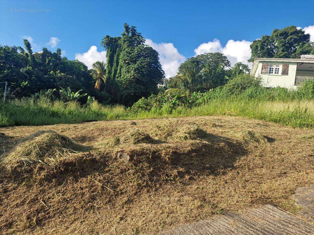 Terrain à SCHOELCHER