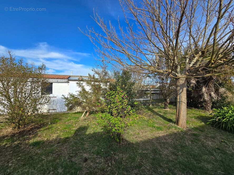 Maison à SAINT-HILAIRE-DE-RIEZ