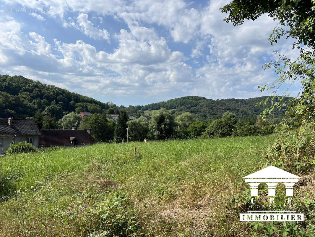Terrain à SAINT-SERNIN-DU-BOIS