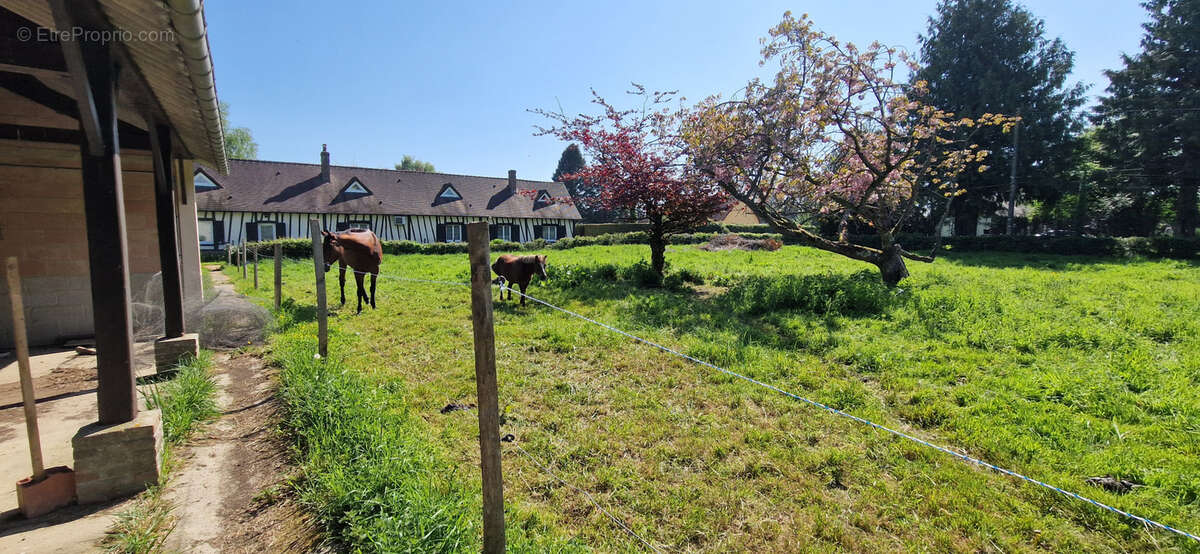 Autre à NEUFCHATEL-EN-BRAY