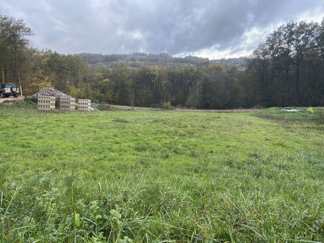 Terrain à BRIGNAC-LA-PLAINE