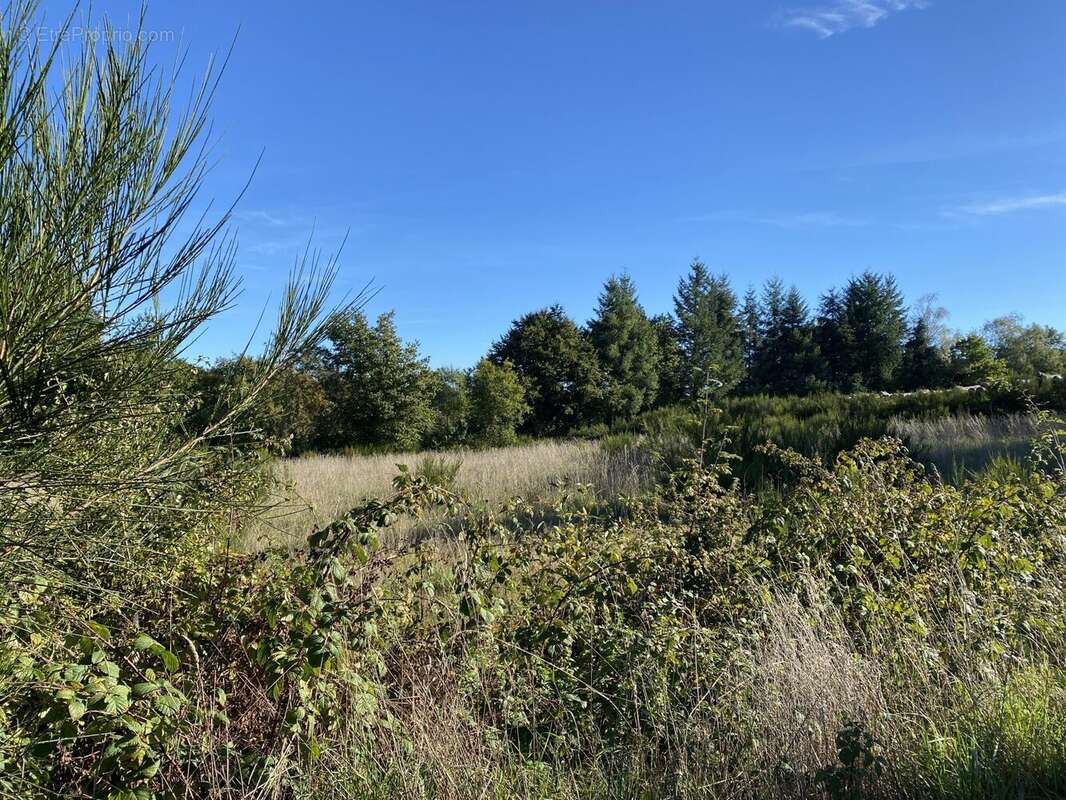 Maison à PEROLS-SUR-VEZERE