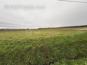 Terrain à SAINT-AGNE