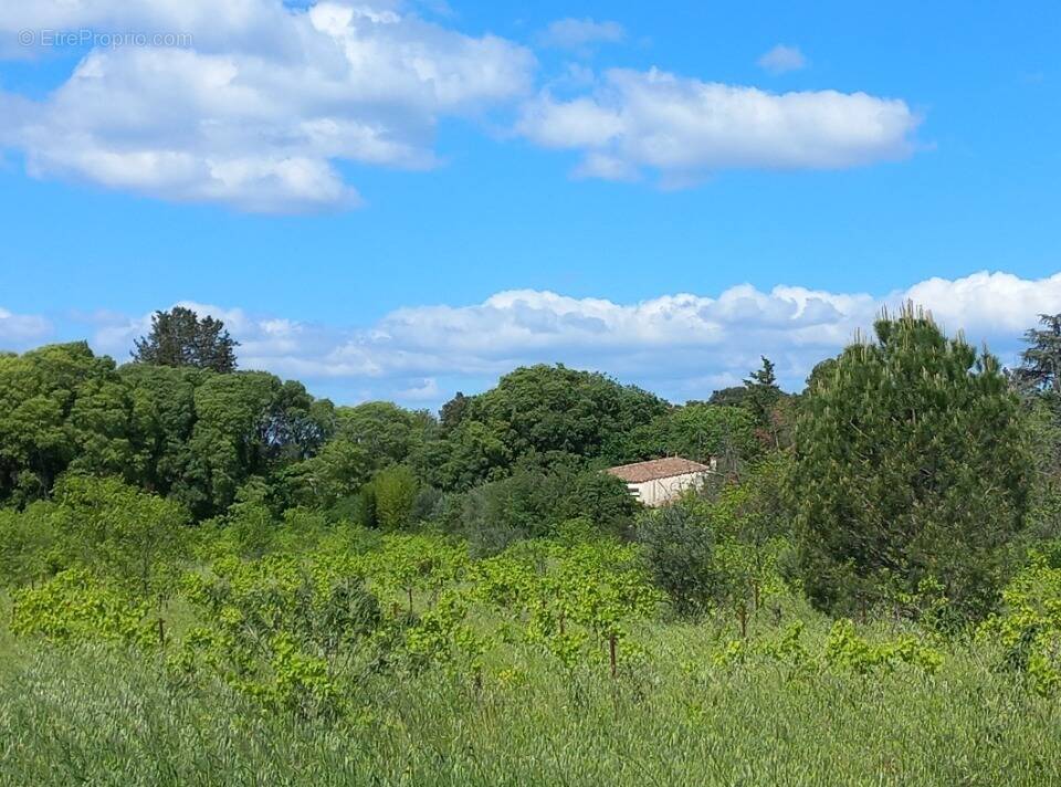 Terrain à BEAUVOISIN