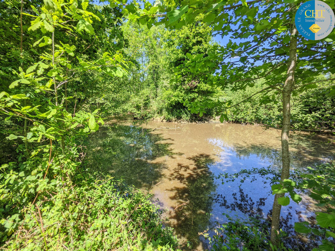 Un Manoir en Brocéliande à acheter avec CHT Immobilier - photo 45