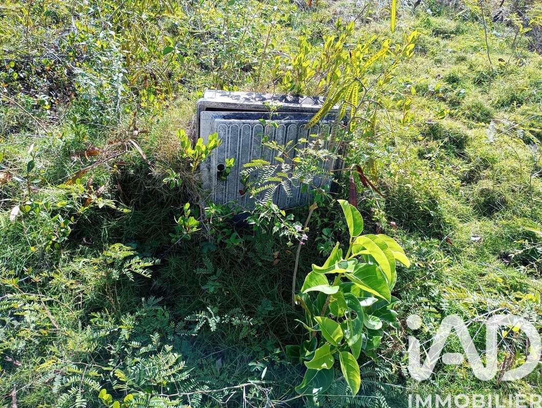 Photo 7 - Terrain à ANSE-BERTRAND