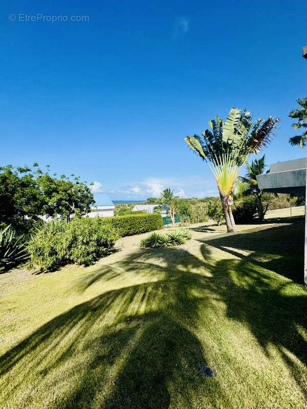 Maison à SAINT-MARTIN